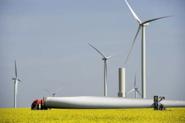 Eolienele din România bat un nou record: au atins 1585 MW